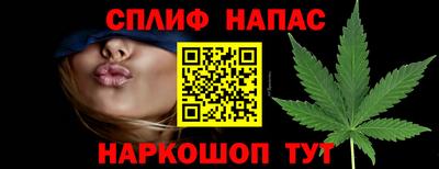прущие крисы Шахты