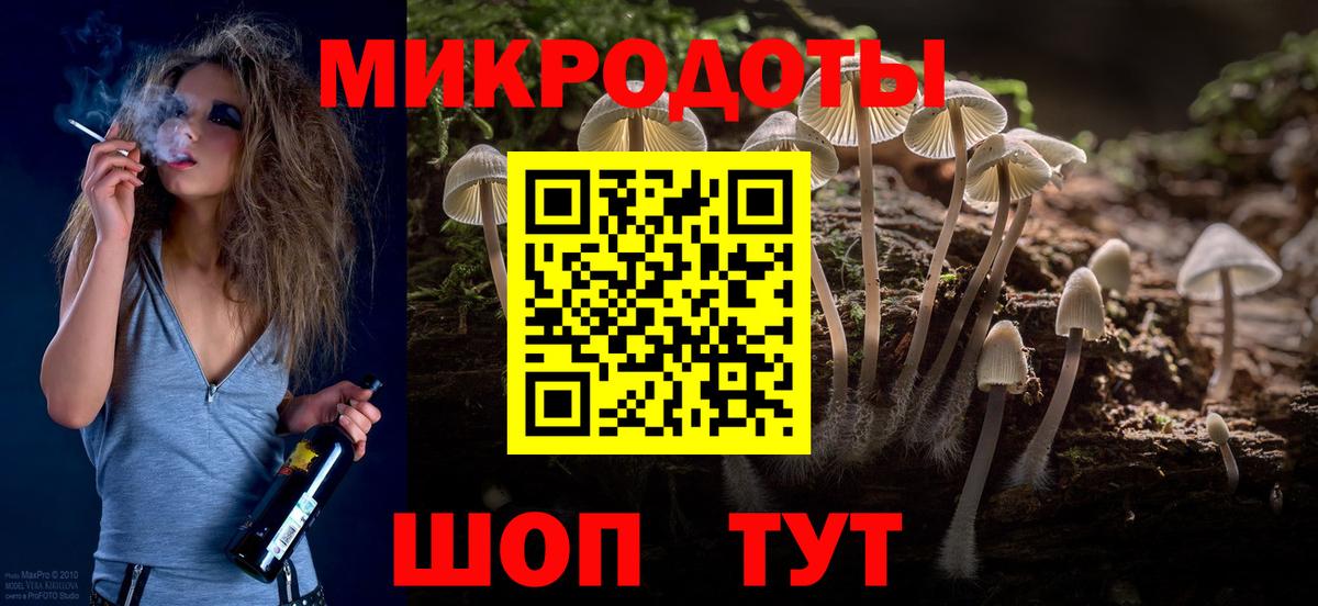 Псилоцибиновые грибы Psilocybe Белореченск