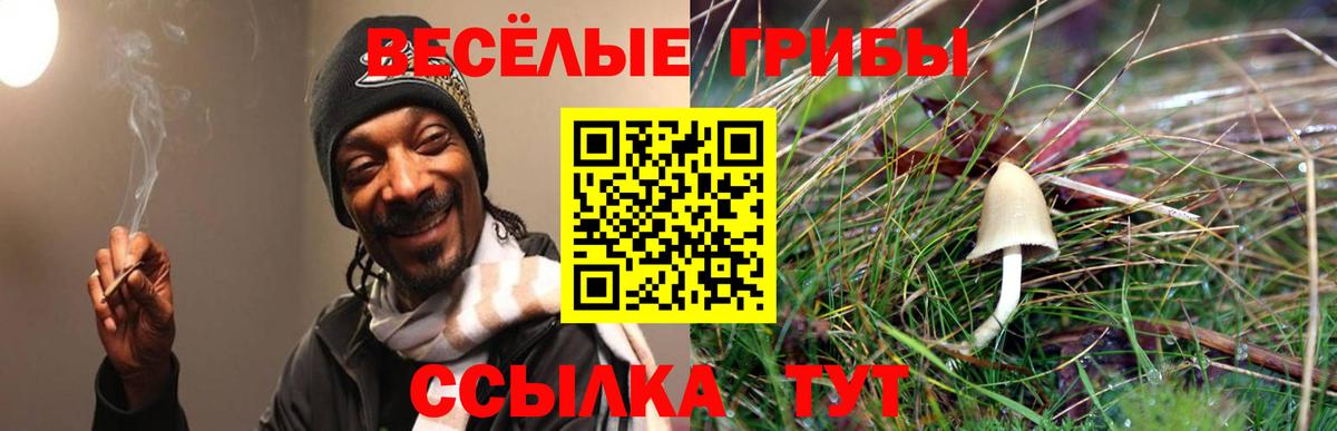 Псилоцибиновые грибы GOLDEN TEACHER  Вход с VPN  Белореченск  как найти   Галлюциногенные грибы GOLDEN TEACHER 
