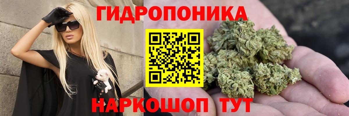Шишки марихуана AK-47  Бошки Шишки конопля  Белореченск  Канабис SATIVA & INDICA  Вход с VPN  Конопля сатива 